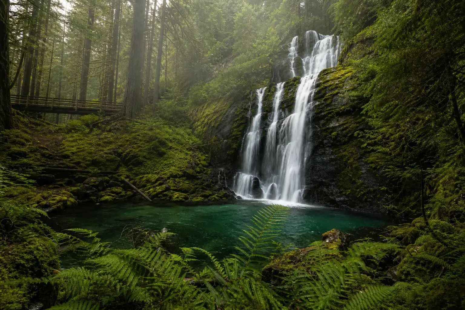 Go where the landscape leads