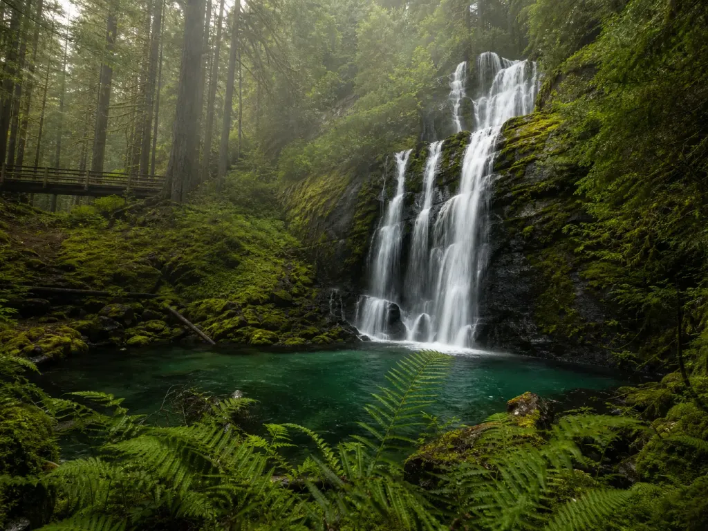 Veil Falls Reserve